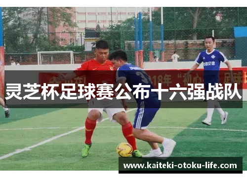 灵芝杯足球赛公布十六强战队