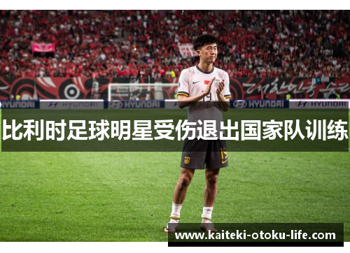 比利时足球明星受伤退出国家队训练